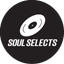 soul-selects