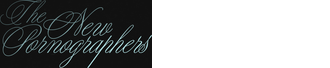 the-new-pornographers-store-2
