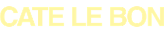 cate-le-bon-store
