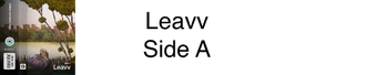 leavv-side-a