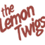 the-lemon-twigs-store-2