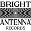 bright-antenna-web-store